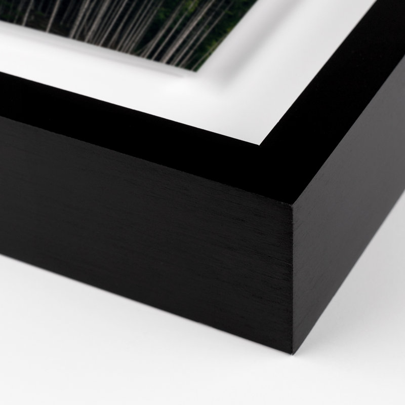 Rolling In 1 Print by Michael Schauer, Black, 40" H x 29" W x 2.5" D