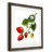 " Strawberry Study II "-1792901317-1793247403-1793252488