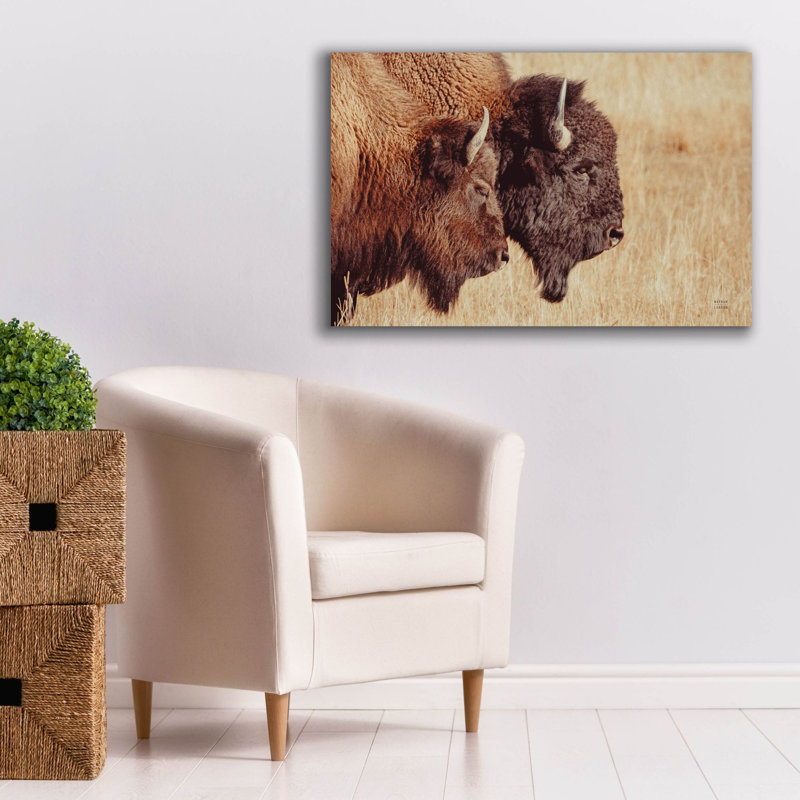 «Bison pair» par Nathan Larson, art mural sur toile, 40 po x 26 po