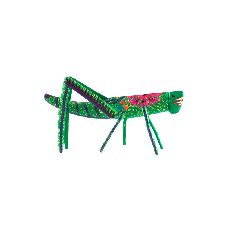 Mexican Alebrije Cricket - Wrapped Canvas Print, 30cm H x 46cm W x 3.8cm D