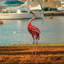 Statue de jardin flamant rose, décor extérieur, sculpture en métal