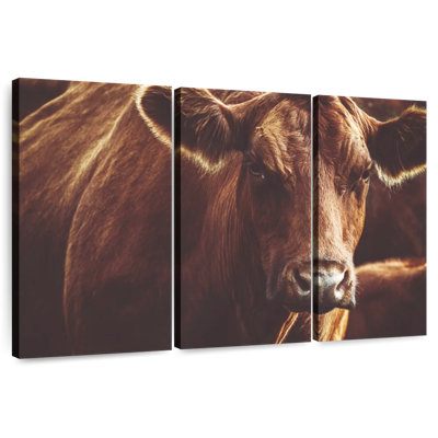 Vache brune Brampt Expressive