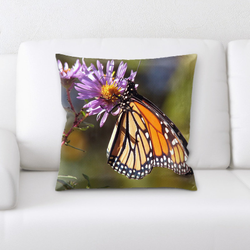 Coussin décoratif papillon