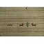 Tapis oriental style petits animaux Gabbeh 8 x 10
