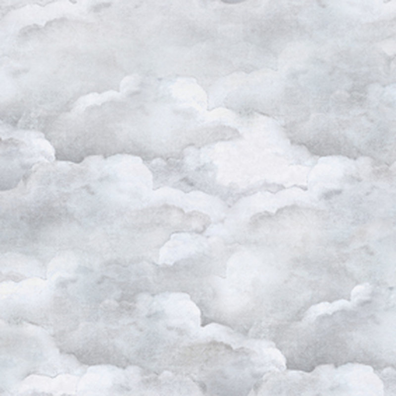 Ramilla 10m x 90cm Matte Paste the Wall Wallpaper Roll, Pale Grey