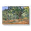 The Bodmer Oak Tree by Claude Monet - Wrapped Canvas-61853416