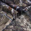 Ensemble de literie en microfibre Mossy Oak Country-83538055