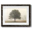 Arbres dans le brouillard I-1666700800-1666700803