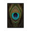 Symétrie du plumes peacock, impression sur toile-72133405-72133411-32497808