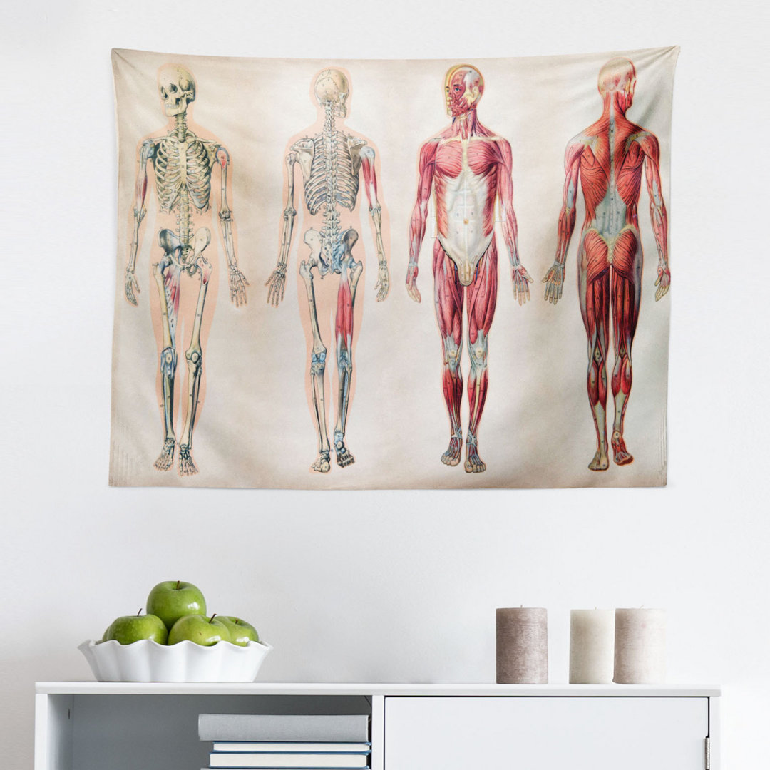 Tapisserie Human Anatomy