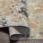 Almonte Indoor Rug-1606069757