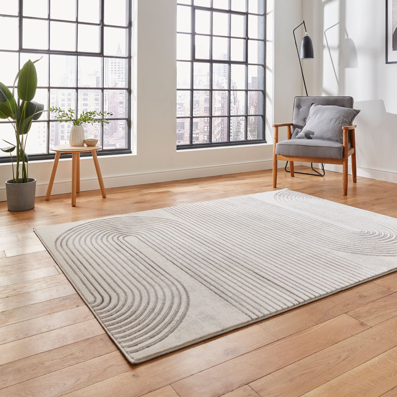 Apollo area rug Machine Woven Rectangle Grey, Rectangle 160 x 220cm