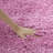 Delane Area Rug-351343531