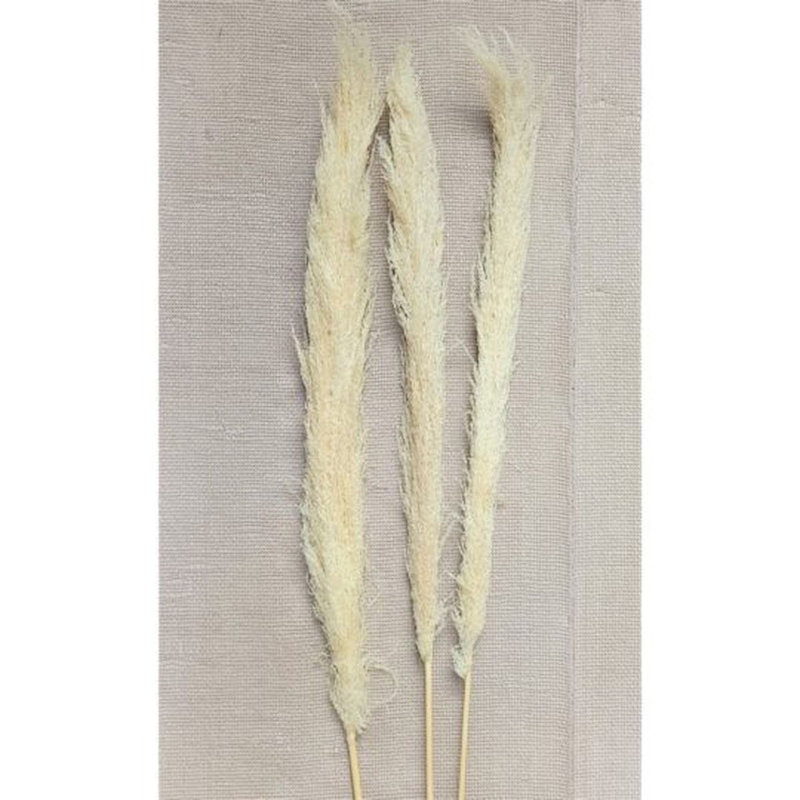 Ensemble de 3 tiges d'herbe de pampas blanches et de faux arbres