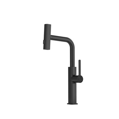 Single Hole Single Handle  Kitchen Sink Faucet With Pull Down Sprayer