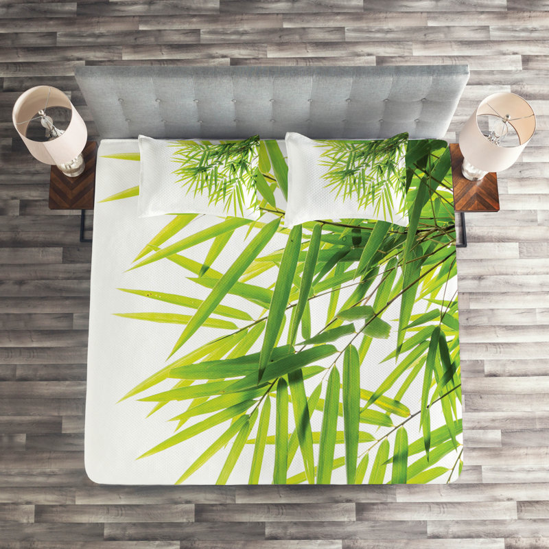 Coverlet