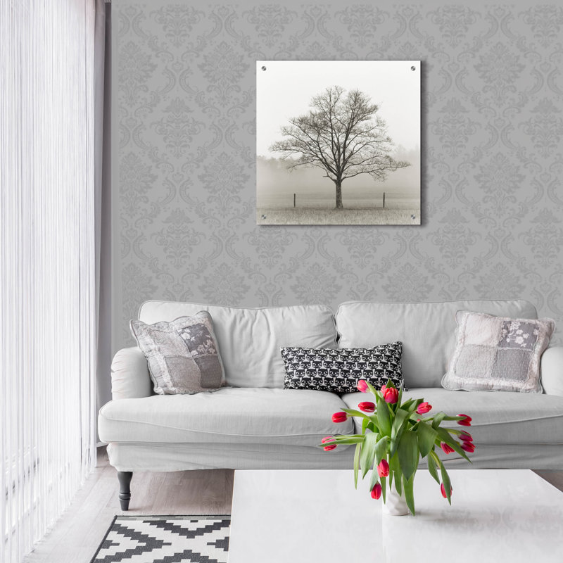 «Winter Tree, Cades Cove» par Nicholas Bell, photographie, H 24 po x l 24 po