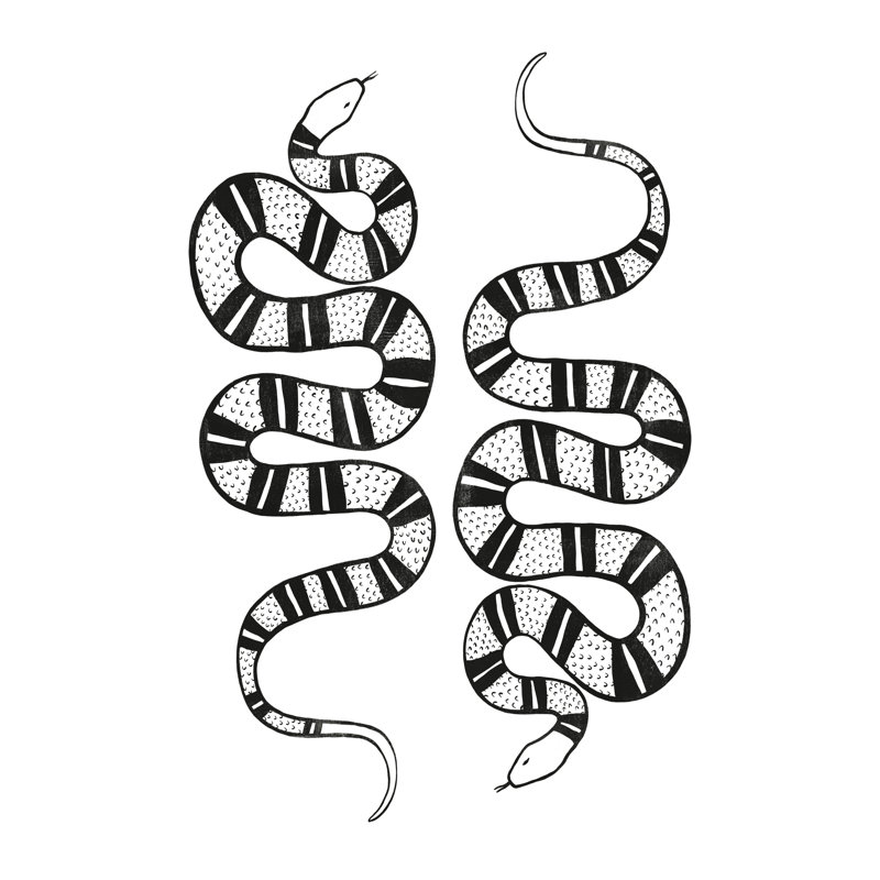 Epidaurus Snake II by Emma Scarvey - Wrapped Canvas Painting, Wrapped Canvas, 122 cm H x 81 cm W