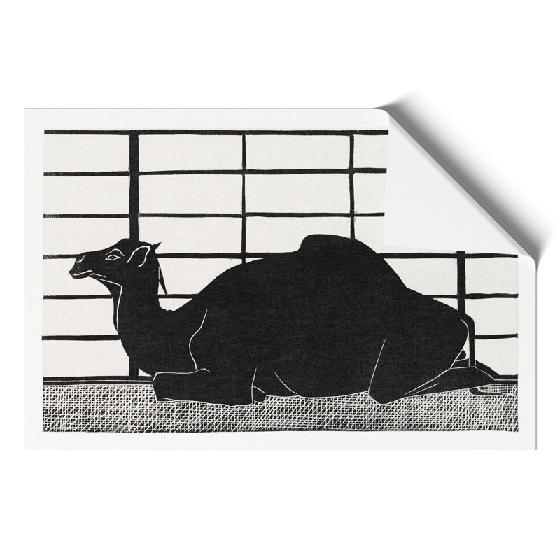 Camel by Samuel de Mesquita - Frameless Print, 42cm H x 59cm W x 0.1cm D