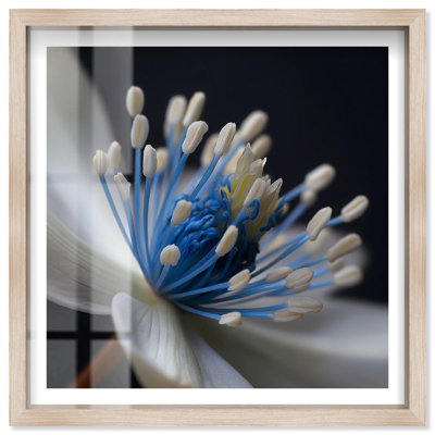 «Blue Supernova III Shadowbox», impression murale par Notoriart, cadre blond, 21 x 21