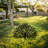 Elegant Decorative Garden Object, Black Metal, 20.9 x 24.0 inches | 100% Steel with 0.06 inches Thickness | Lightweight at 2.1 lbs, No Assembly Required | Perfect for Outdoor Décor and Garden Enhancement-1213040363