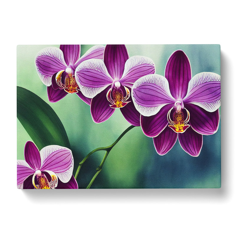 Luscious Orchid Flowers - Wrapped Canvas, 35cm H x 50cm W x 3cm D