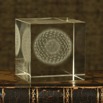 Terry Dandelion Glass Hologram 