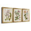 «Vintage Flowering Trees II», ensemble de 3 impressions sur toile encadrées-428839006-428839001