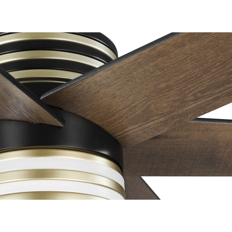 Carrollwood 56'' Ceiling Fan with LED Lights, Matte Black