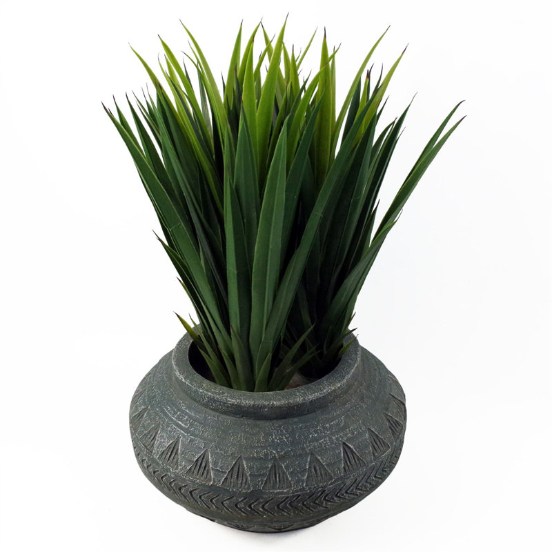 Cachepot