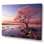Coucher de soleil rose au crépuscule au bord du lac - reproduction