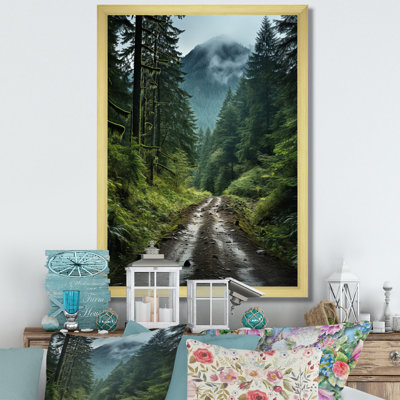 " USA Olympic National Forest Washington II "
