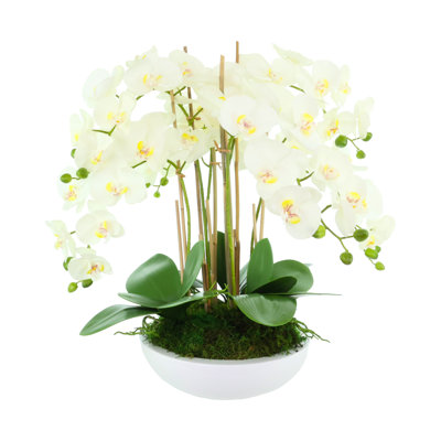 Orchid Arrangement in Round Fiberstone Pot