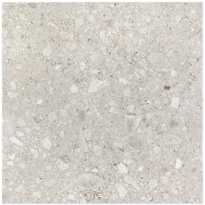 Stonehenge 24" x 24" Matte Porcelain Terrazzo Look Floor and Wall Tile (11.62 Sq. Ft. / Case)