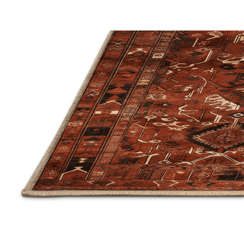 Tapis brun turc lavable à la machine, Rectangle 4pi x 6 pi