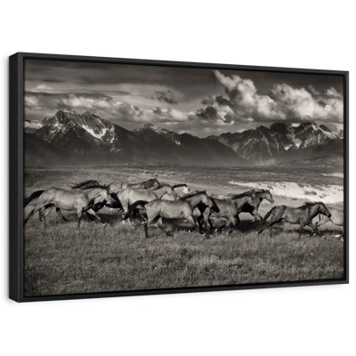Animal «Mountain Range Mavericks»