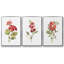 Ensemble de 3 pièces encadrées sur toile géranium écarlate-97706600-97706601