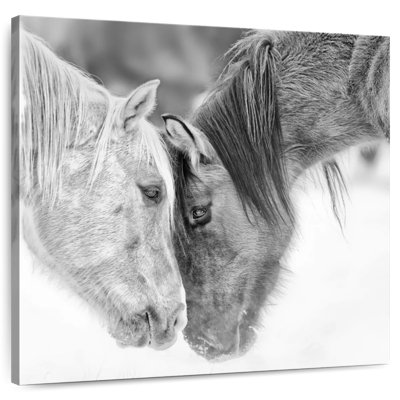 Crowle B and W Horses I