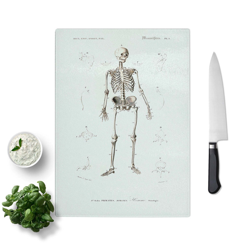 Glass Human Skeleton by Charles D' Orbigny Chopping Board, 39 cm W x 28.5 cm L