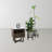 Mattland Standing Pot-958821031