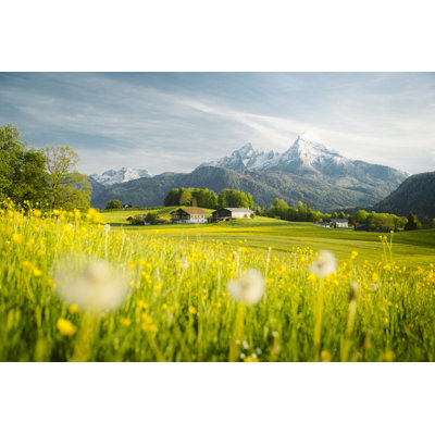 " Meadows In Springtime "
