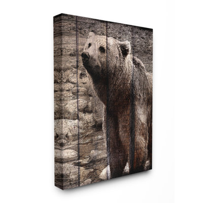 Photographie « brown bear en planches look photographie » par kimberly allen