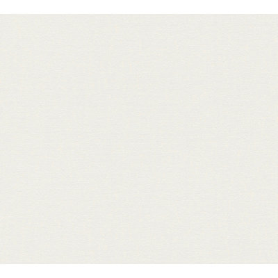 Rahnuma 10.05m x 53cm Matte Double Roll