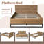 Structure de lit plateforme avec tête de lit géométrique, bois bicolore et finition noire, fabrication en bois aggloméré et en métal-443471391