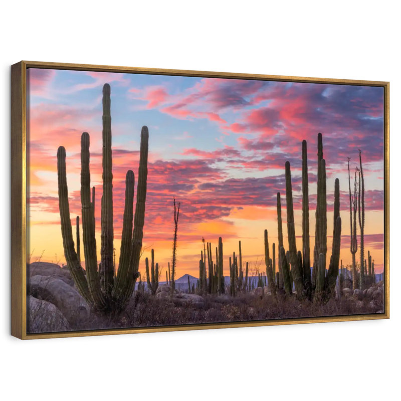 Lever de soleil de Baja California, Cadre flottant doré, 40 po x 27 po
