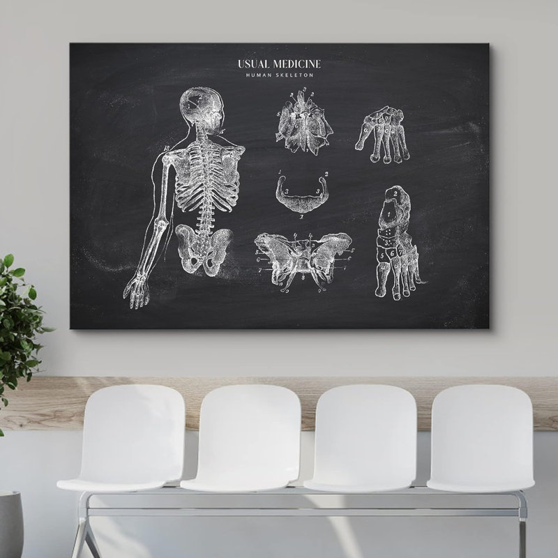 Anatomie, radiographie, squelette, crâne, diagramme, santé, art moderne, schéma thérapeutique, décoration murale