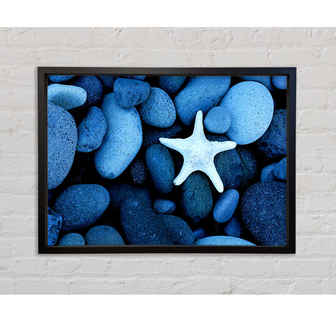 Star Fish Rocks - Einzelner Bilderrahmen Kunstdrucke auf Leinwand