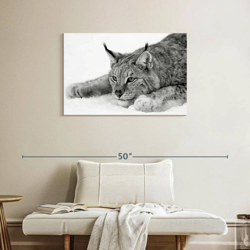 Brampt Lynx BW, 24" H x 36" W