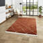 Pechler area rug Machine Woven Rust-855889988