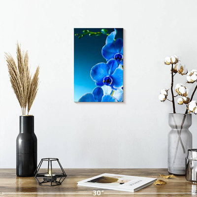 Harnek Detailed Blue Orchid